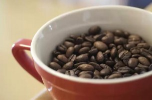 Italienischer Kaffeegigant akquiriert Großrösterrei in Costa Rica